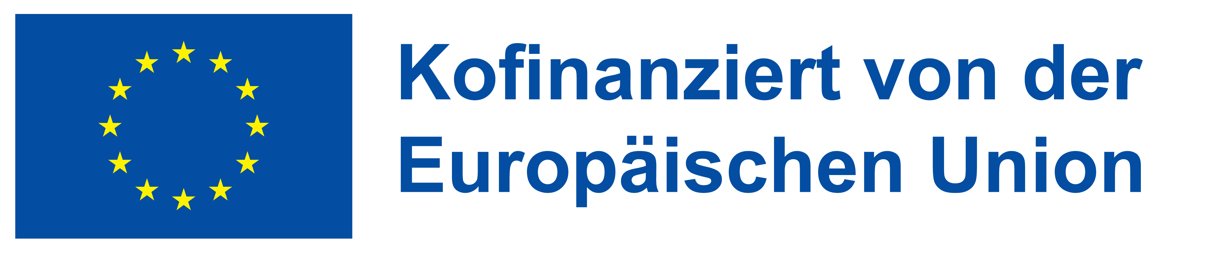 Hinweis zu Projektförderung durch die Europäische Union